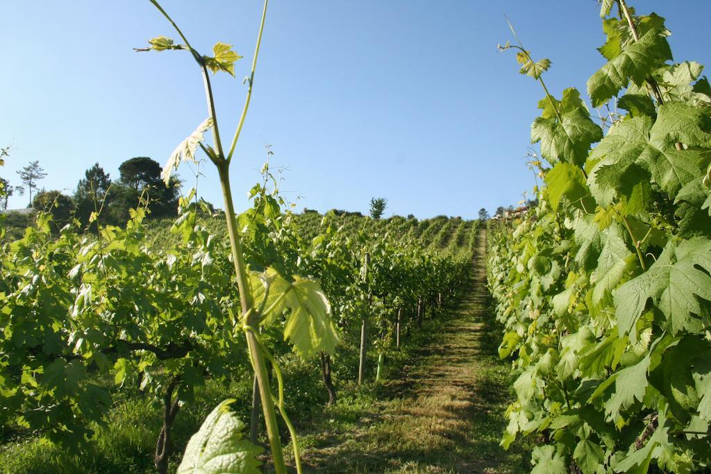 Quinta De Lourosa Vendégház Lousada Kültér fotó