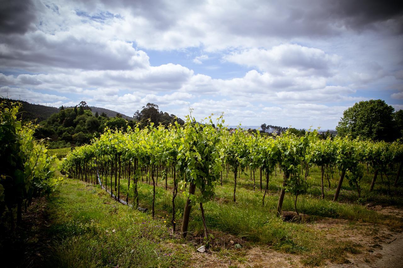 Quinta De Lourosa Vendégház Lousada Kültér fotó