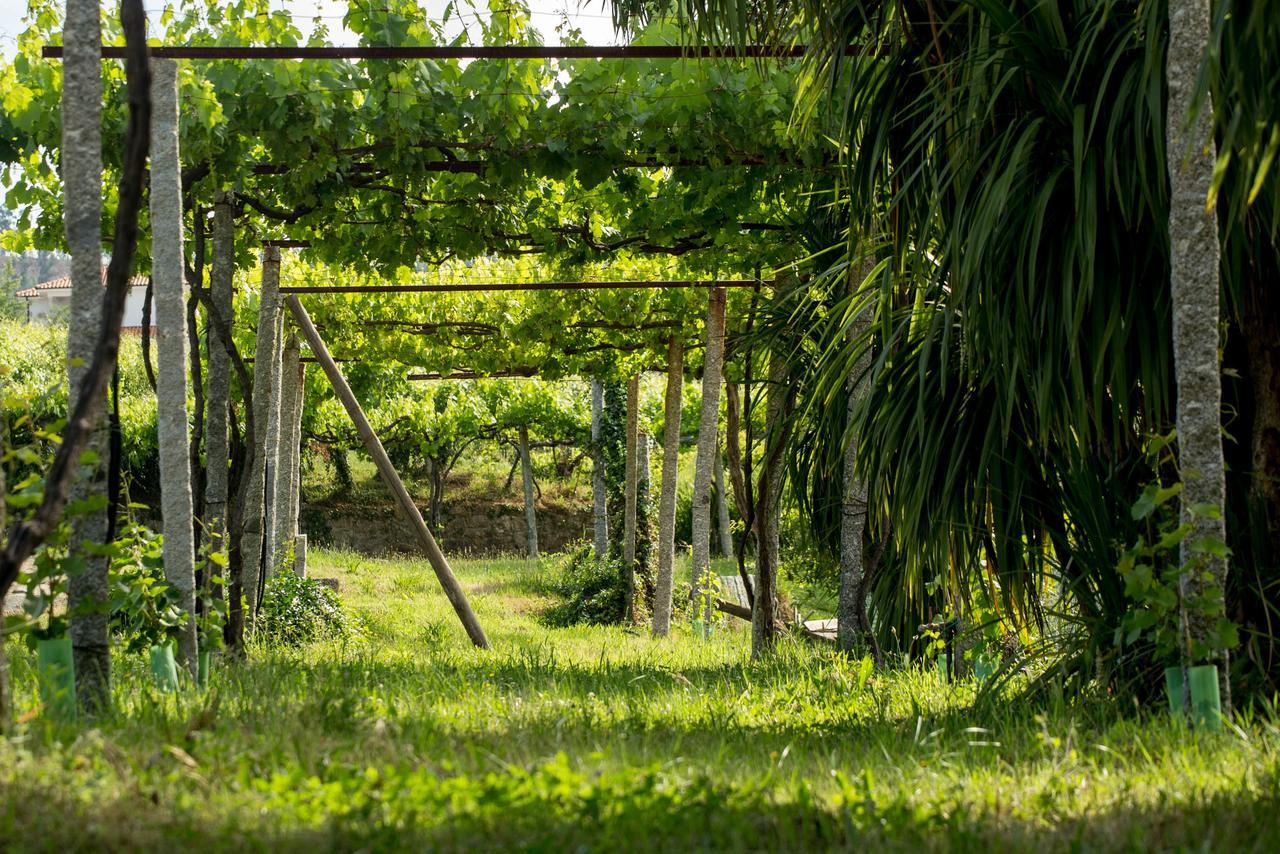 Quinta De Lourosa Vendégház Lousada Kültér fotó