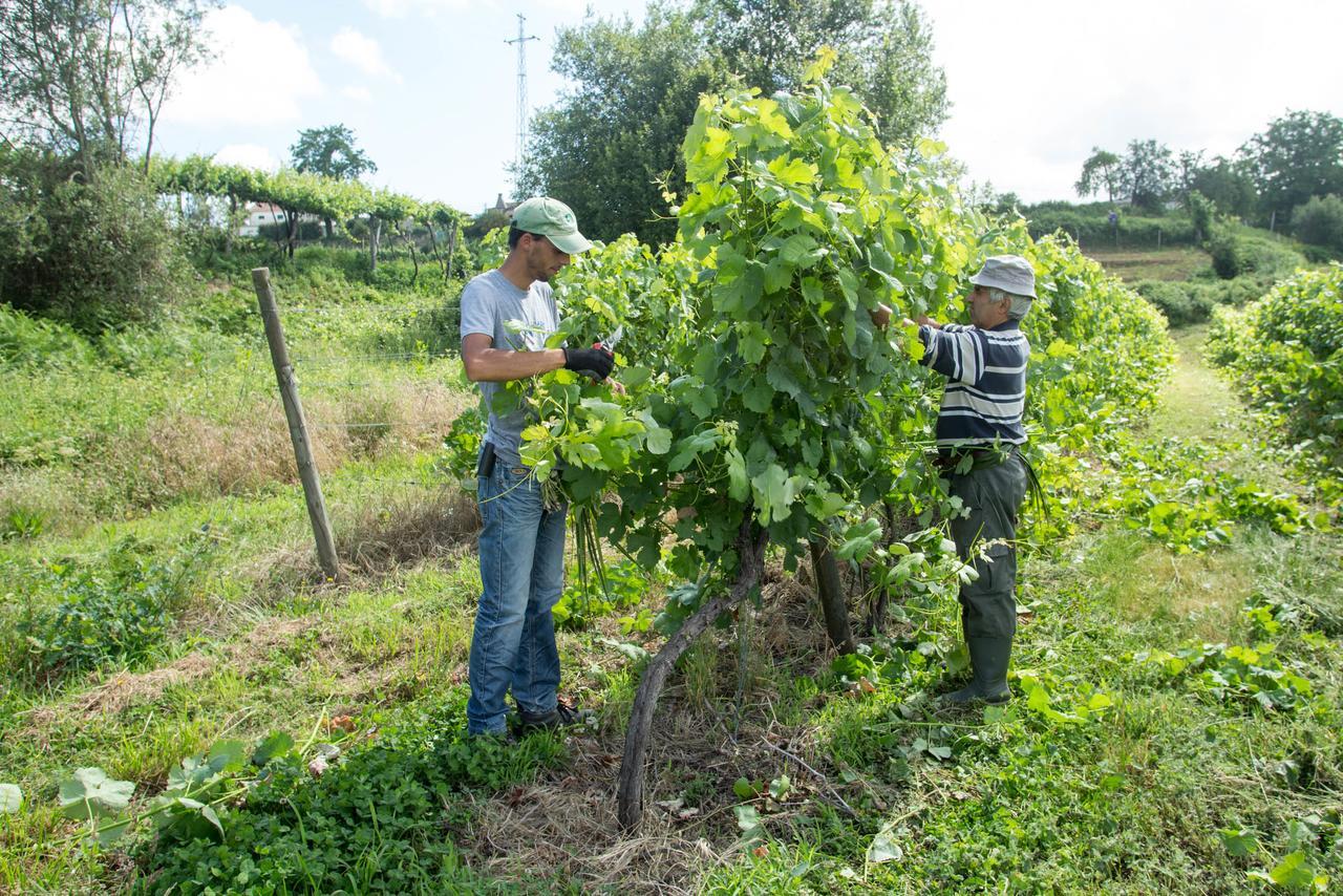 Quinta De Lourosa Vendégház Lousada Kültér fotó