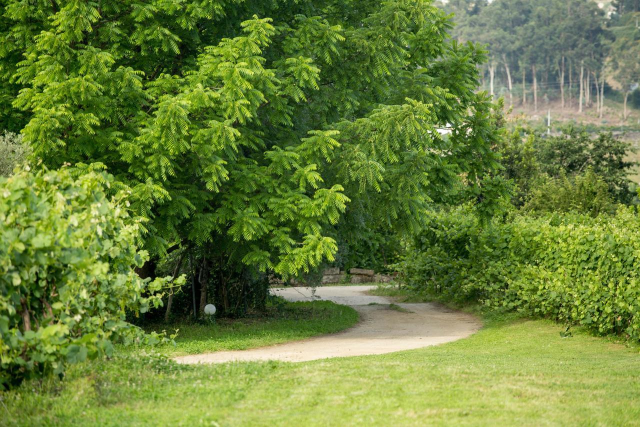 Quinta De Lourosa Vendégház Lousada Kültér fotó