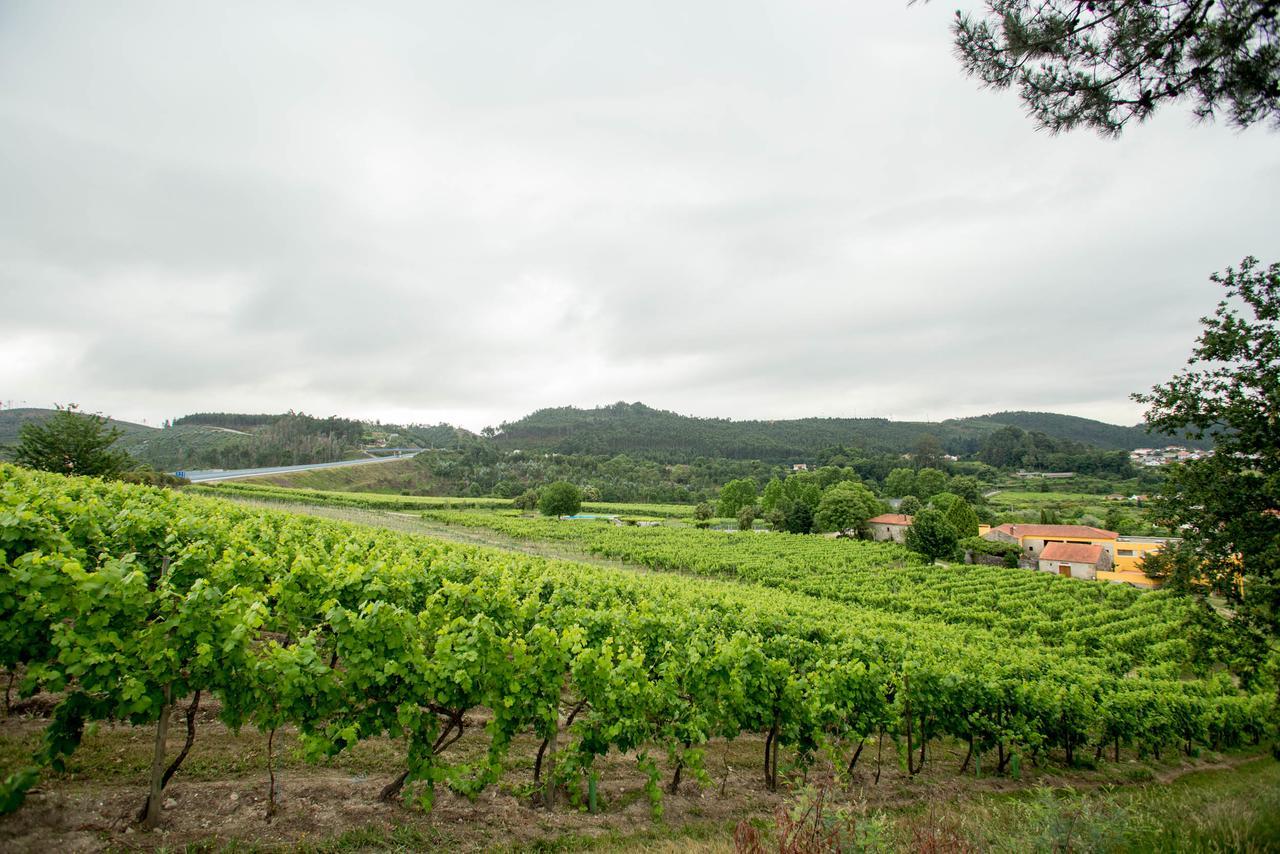 Quinta De Lourosa Vendégház Lousada Kültér fotó